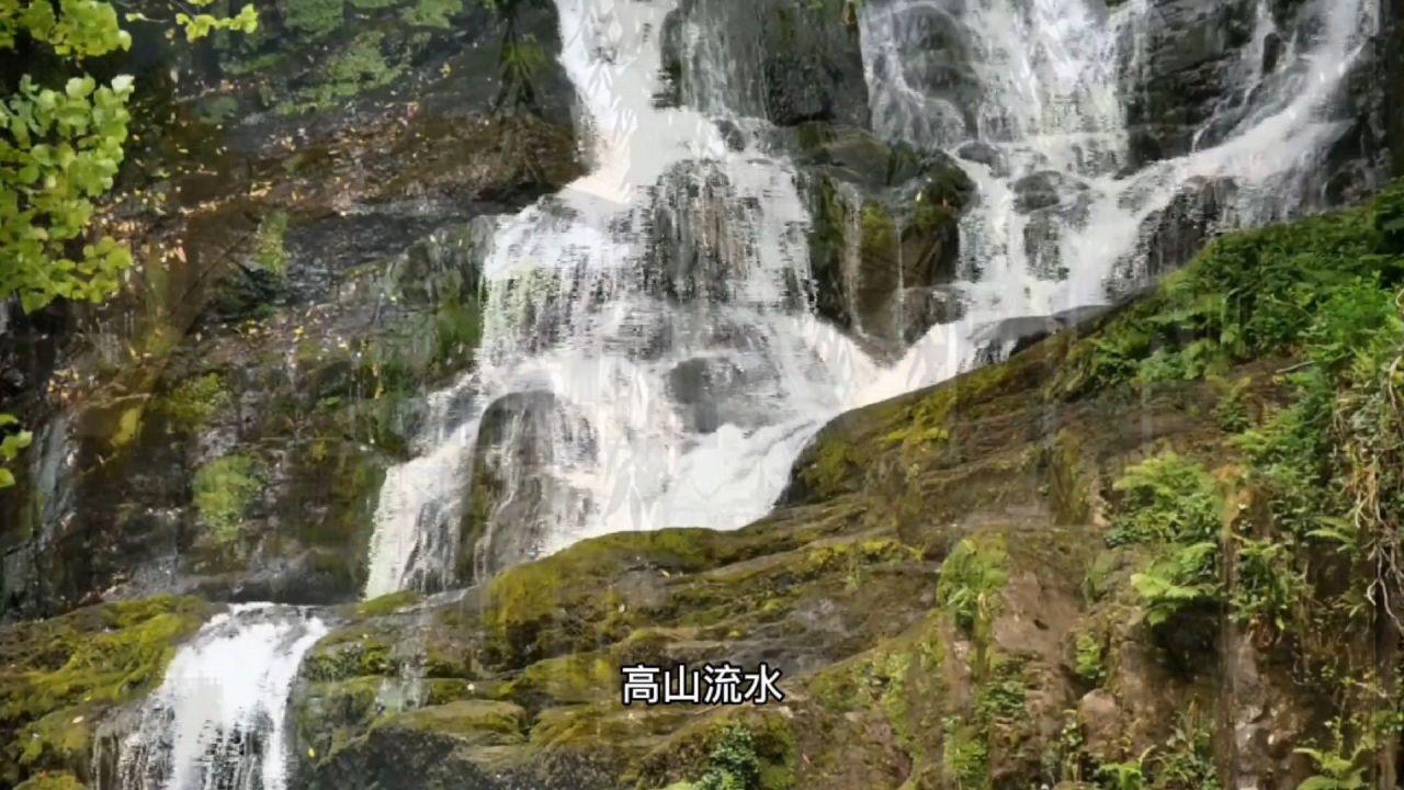带你重点关注热门牛蒡大王助农直播电商创业